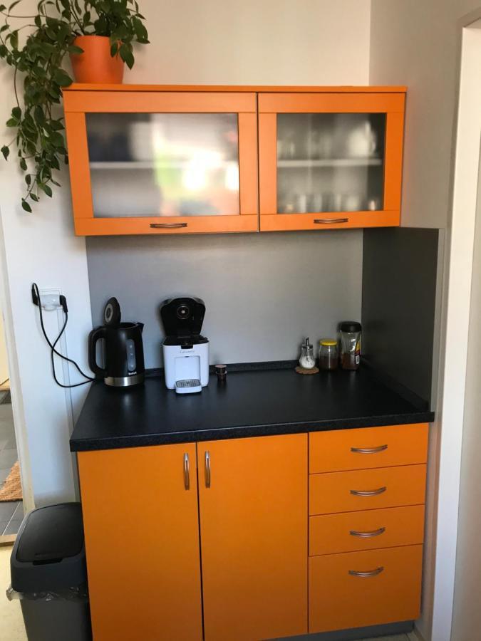 Apartment Corriger Usti nad Orlici Luaran gambar